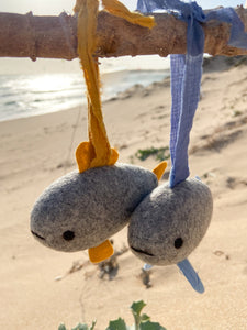 FLOCK/SUBY fish